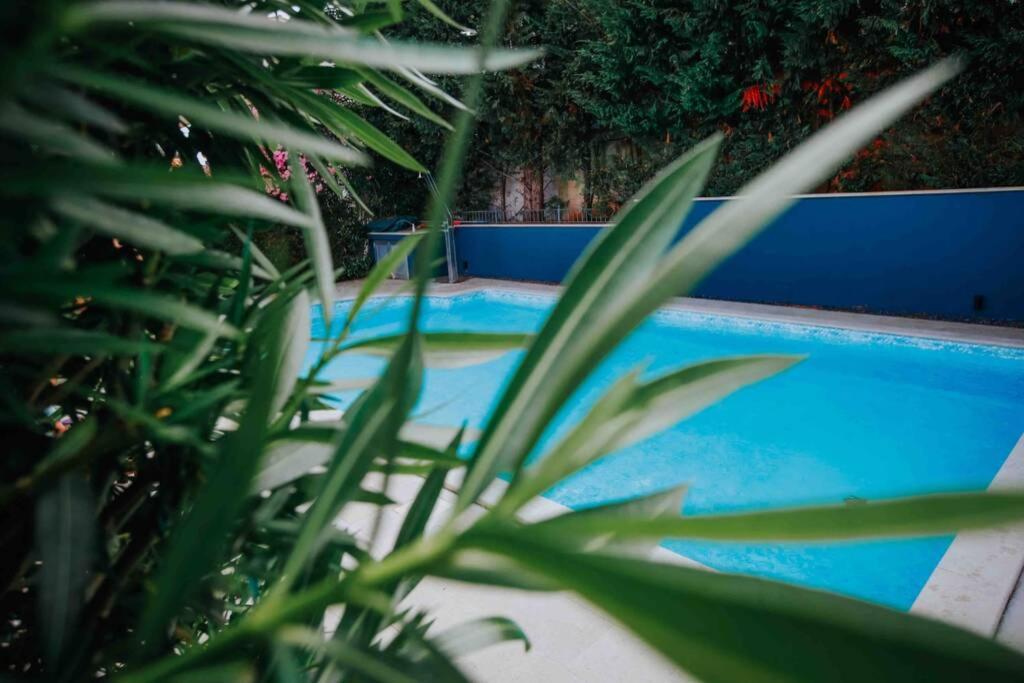 באניולה Casa Ro-Ma, Seaside Villa With A Heated Pool מראה חיצוני תמונה